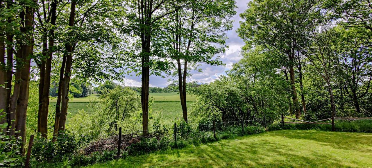 Inikama: Designer Apartment Im Gruenen - Netflix Rosengarten  Kültér fotó